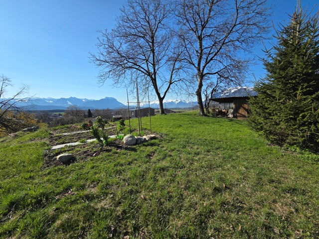 Traumhafte Grundstücke in bester Lage, auf dem Kummenberg, zu kaufen!