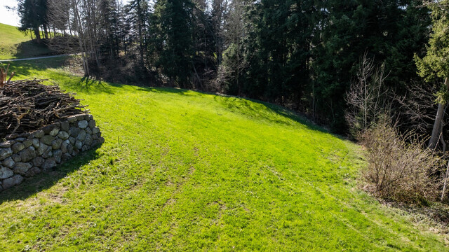 Möggers | Großzügiges Grundstück (1.577 m²) mit Option auf Erweiterung