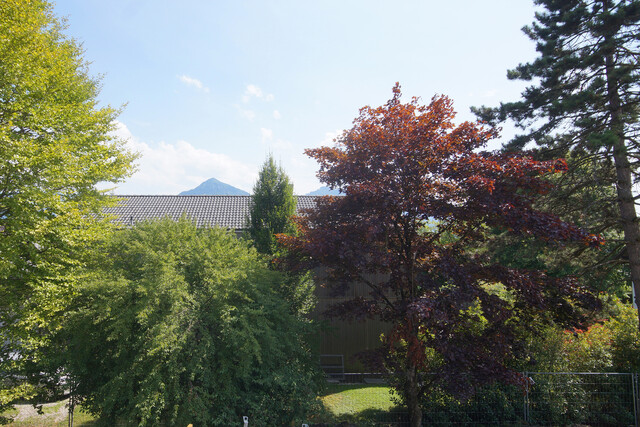 Einzigartige 4-Zimmerwohnung  in ruhiger Wohnlage mit schönem Ausblick und 2 Bäder