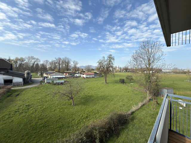 Modernisierte 3-Zimmerwohnung mit Blick ins Grüne