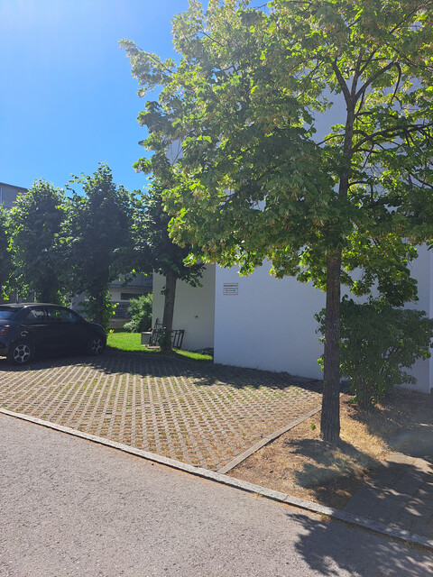 Provisionsfrei! tolle Gartenwohnung in Hard