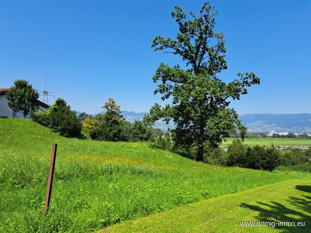 Exklusives Baugrundstück 1338m² am Gitzebühel in Koblach mit bester Sicht auf die Schweizer Bergwelt!