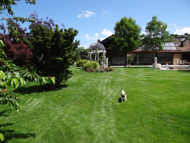 6.817m2 Villa (4 Grundstücke)