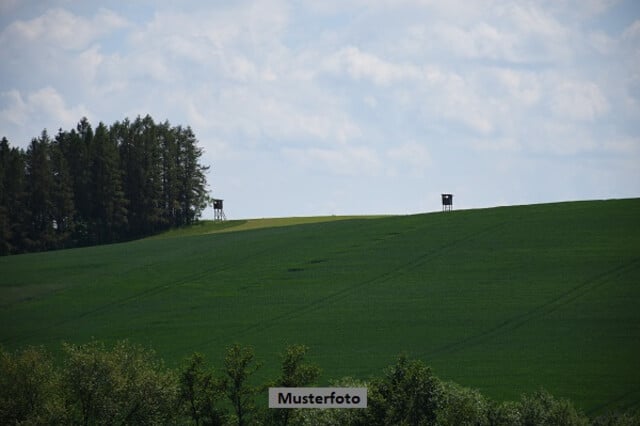 Land- und Forstwirtschaftliche Liegenschaft