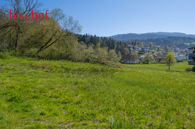 Schönes Grundstück in leichter Hanglage
