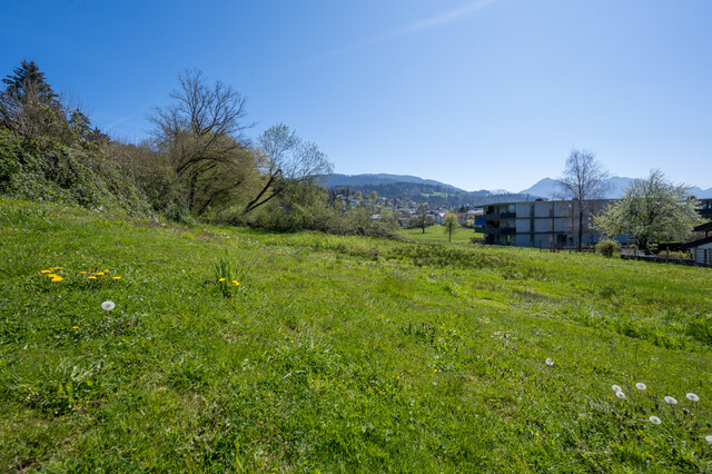 Schönes Grundstück in leichter Hanglage