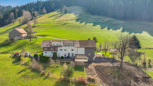 Sulzberg-Thal | Mehrparteienhaus | Großzügiges Anwesen mit 50.012 m²