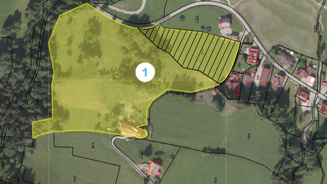 Sulzberg-Thal | Mehrparteienhaus | Großzügiges Anwesen mit 50.012 m²