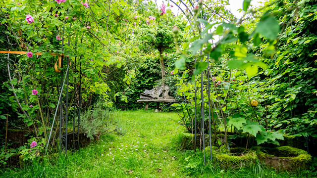 Dornbirn: Modernes Eckreihenhaus mit großem Garten!