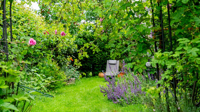 Dornbirn: Modernes Eckreihenhaus mit großem Garten!