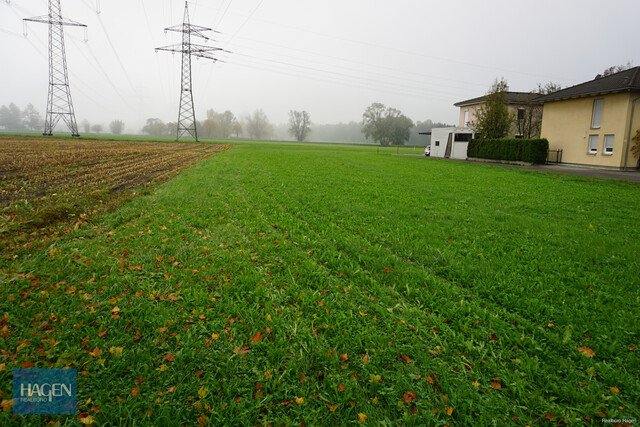 Schönes Baugrundstück in Koblach zu verkaufen