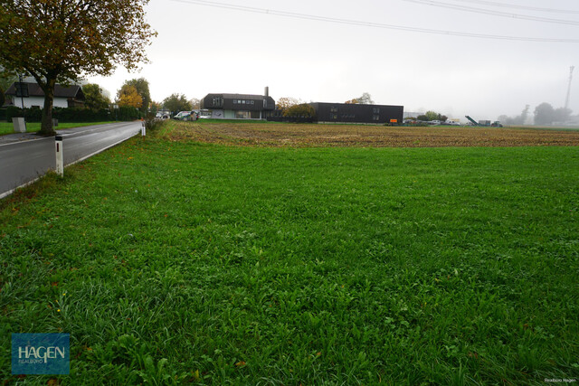 Schönes Baugrundstück in Koblach zu verkaufen