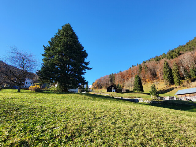 Baugrundstück in traumhafter Aussichtslage in Tschagguns, Montafon