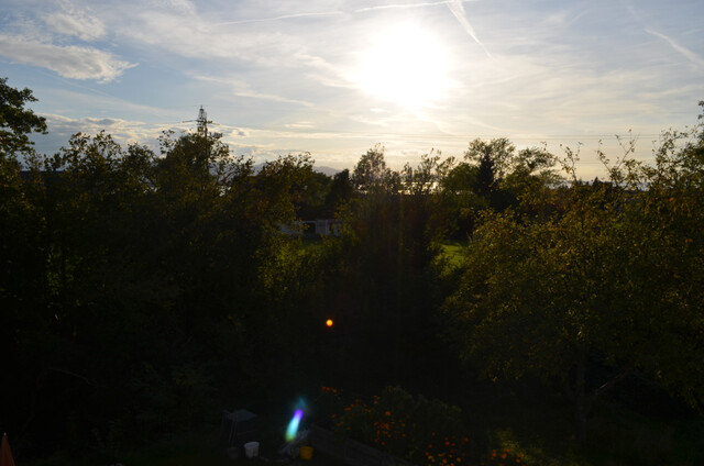 3-Zimmerwohnung am schönen Schwendeweg, Lochau zu vermieten (verfügbar ab 01.08.2026)