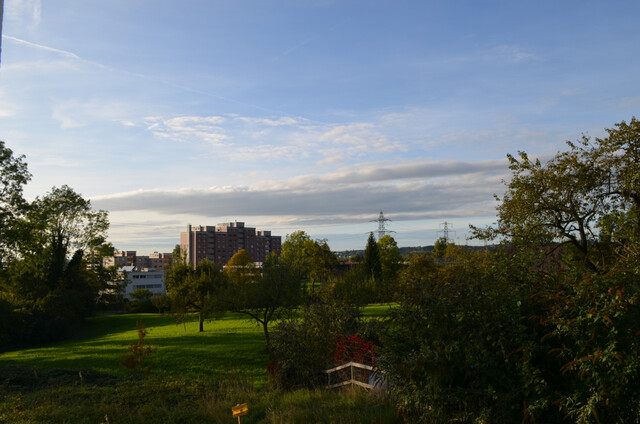 3-Zimmerwohnung am schönen Schwendeweg, Lochau zu vermieten (verfügbar ab 01.08.2026)