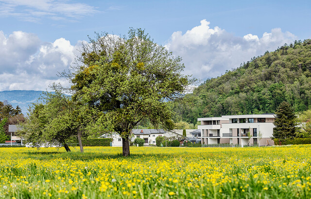 2-Zimmer Wohnung mit herrlichem Garten (Top B02)