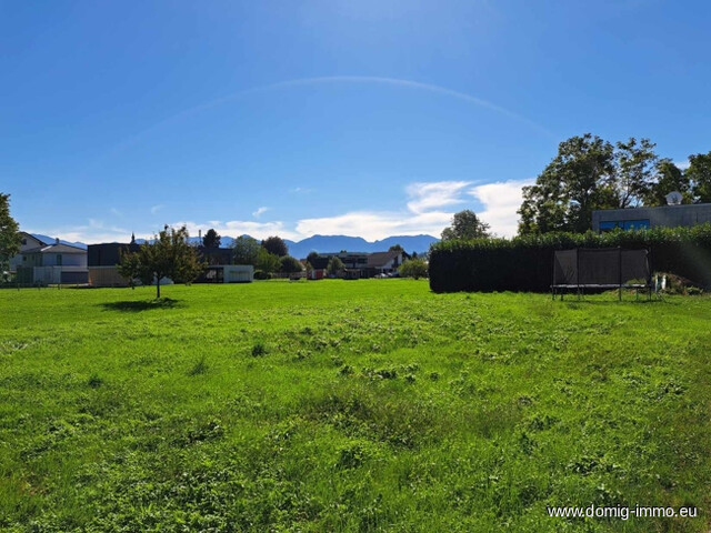 Wunderbares Baugrundstück, sonnig und ruhig gelegen mit 719m² in der Bodenseegemeinde Höchst!