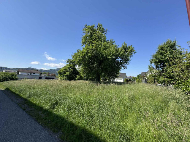 Baugrundstück in beliebtester Wohnlage