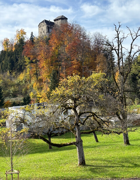 Baugrundstück am Fuße von Schloss Glopper - Grundstück 2
