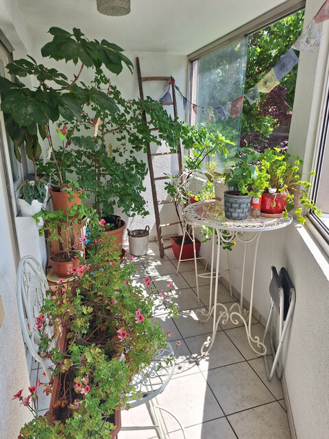 Sonnige und geräumige 3,5 Zimmer-Wohnung mit Parkplatz