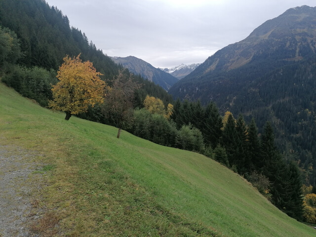 Nur für Landwirte: Geschichtsträchtiges Maisäß mit ca. 2,5 ha Umschwung