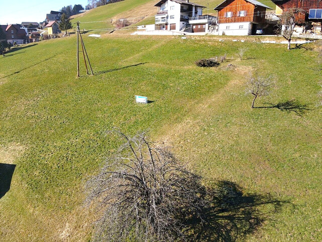 Attraktives Baugrundstück in Laterns – 850 m² mit herrlichem Bergblick