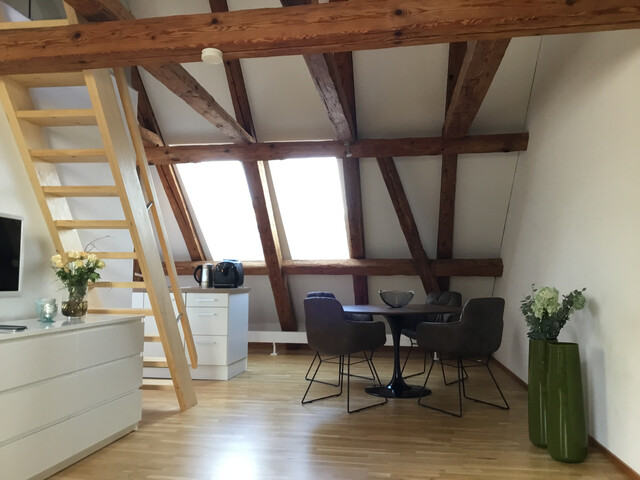 Wohnen auf Zeit - Apartment mit offenem Wohnraum und kleiner Galerie  möbliert | ruhig | hell | komplett ausgestattet