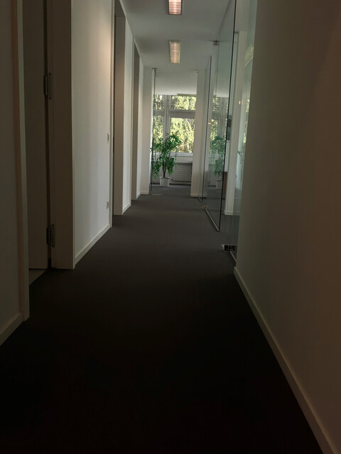 Helle Büroflächen mit Blick ins Grüne und sehr guter Verkehrsanbindung
