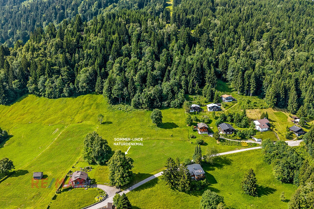 Ferienwidmung inklusive: Baugrundstücke auf Bazora verfügbar