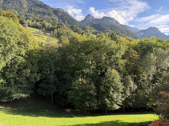 Haus mit Scheune und viel Potenzial / 950m2 Grundstück in Hohenems