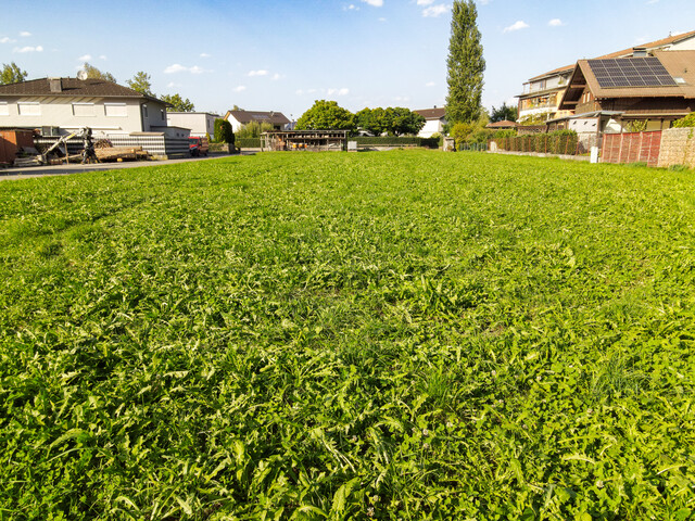 Großzügiges Baugrundstück mit ca. 1.251 m² in Dornbirn Hatlerdorf – attraktive Entwicklungsmöglichkeit