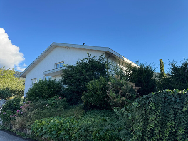 Geräumiges EFH mit grosszügigem Garten