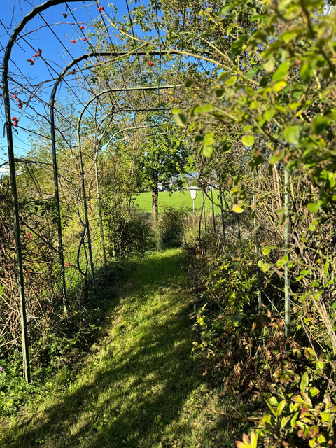 Geräumiges EFH mit grosszügigem Garten