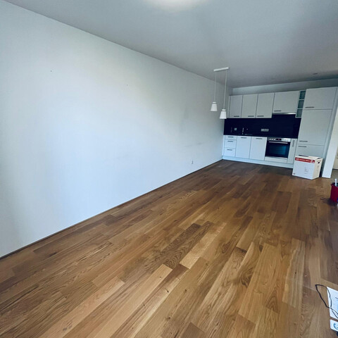 Neuwertige 2-Zimmer Balkonwohnung