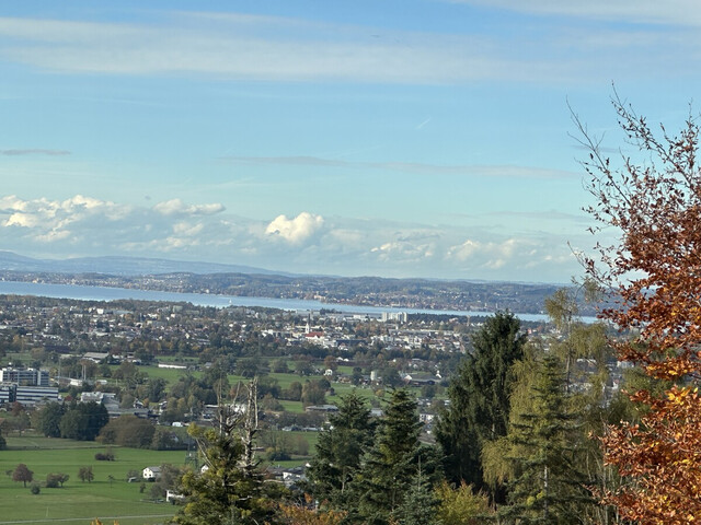 Exklusive 4-Zimmer-Wohnung mit traumhaftem Blick auf das Rheintal bis zum Bodensee