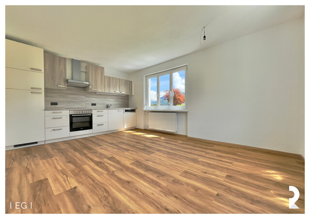 MEHRFAMILIENHAUS  I BLUDESCH I 790 m² GST  I