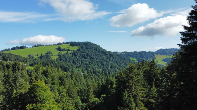 Baugrundstück mit Ferienwidmung in bester Lage in Schwarzenberg Bödele