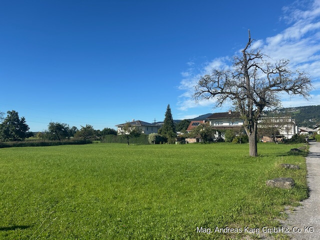 Attraktives Baugrundstück im Pfeller, Dornbirn – 1.159 m² BW-Widmung, erweiterbar und teilbar