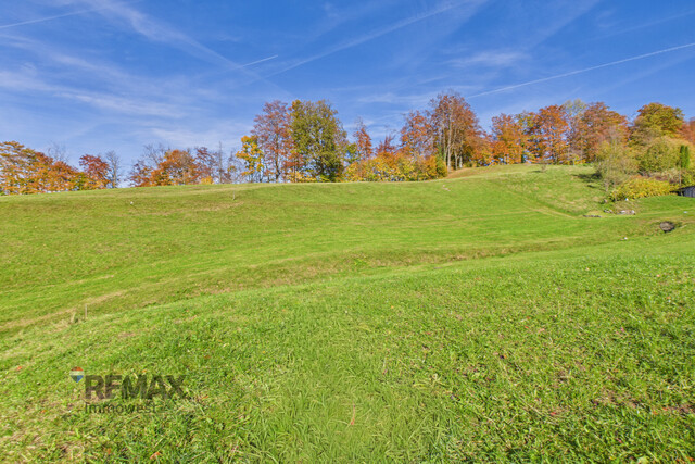 Ihr Rückzugsort in Hohenems/Emsreute – sonniges, ruhiges Grundstück