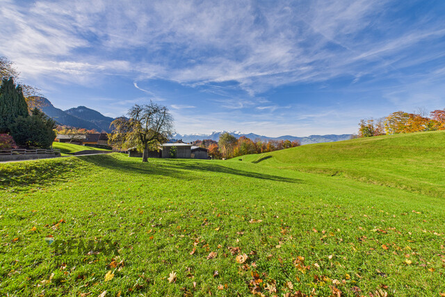 Ihr Rückzugsort in Hohenems/Emsreute – sonniges, ruhiges Grundstück