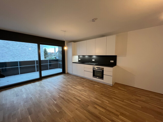 Höchst: Moderne 2-Zimmer-Wohnung mit großer Terrasse