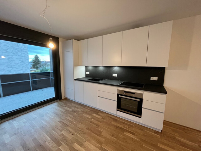 Höchst: Moderne 2-Zimmer-Wohnung mit großer Terrasse