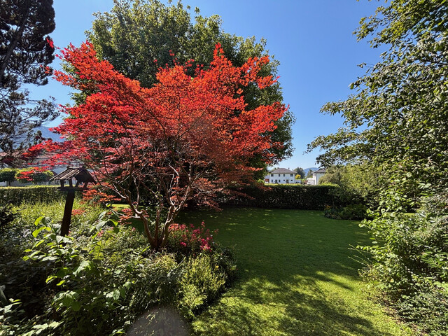 Sonniges Baugrundstück mit Altbestand