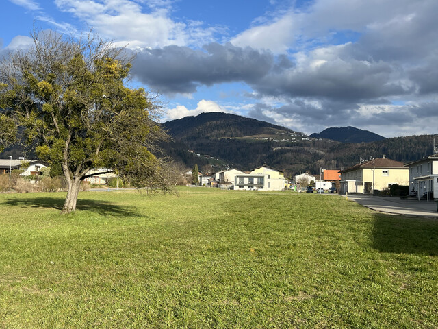 Neues Einfamilienhaus mit Traumgarten in sonniger Lage!