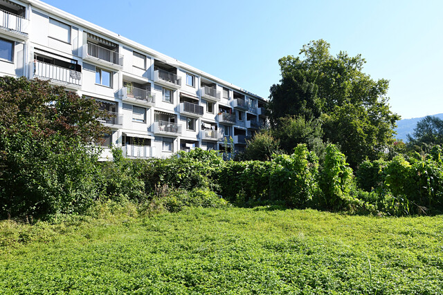 Große 3 Zimmer Wohnung in bester Lage in Bregenz