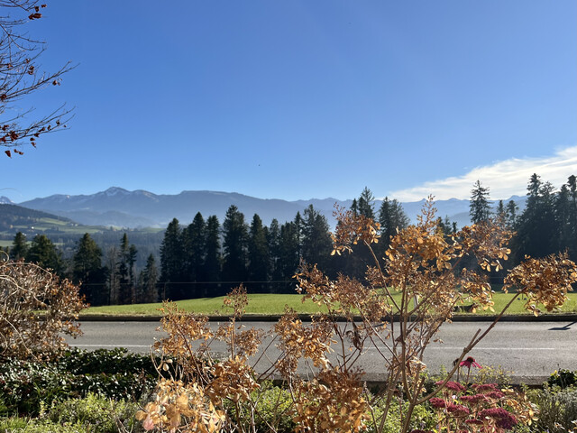 Einfamilienhaus mit herrlichem Bergblick, Kaminzimmer & großem Garten