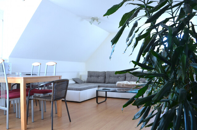 1 Zimmer-Wohnung  |  Miete  |  Zentral