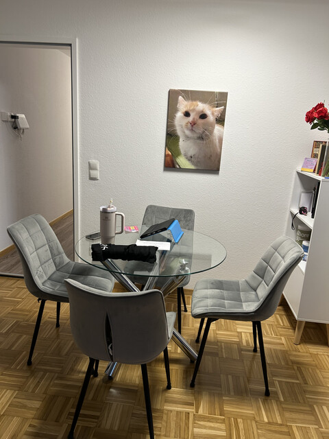 Top-Investment & Lifestyle: Großzügige 2-Zimmer-Stadtwohnung mit Terrasse