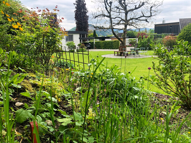 Grundstück in Götzis | in der Riebe