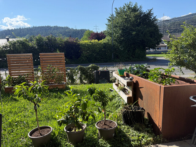 Für Gartenliebhaber!! Moderne 3-Zimmer Wohnung  in Rankweil/ Grenznah!!